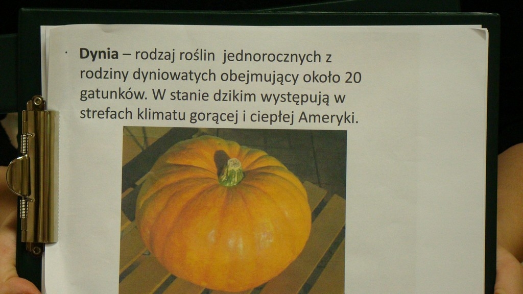 2014.10.24 koło gastronomiczne - dynia  01