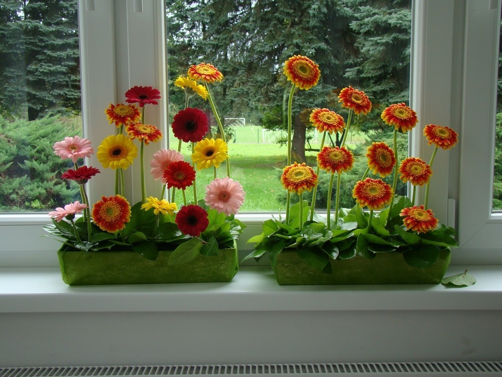 kurs florystyczny 2015