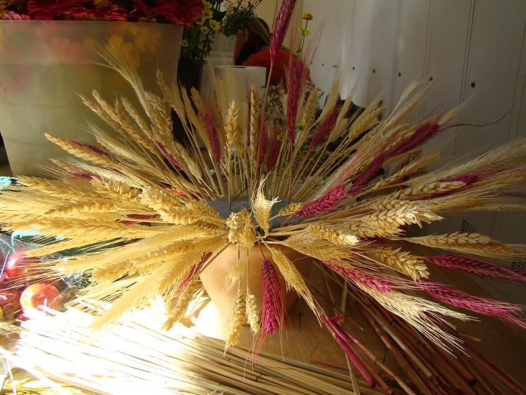 kurs florystyczny 2015